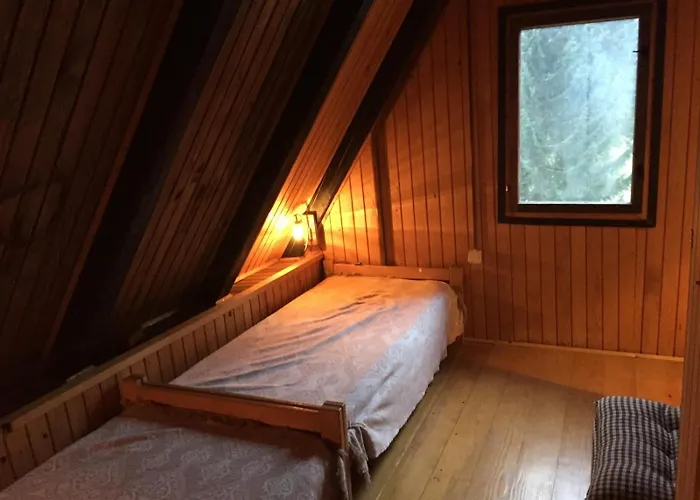 Romantic Forest House