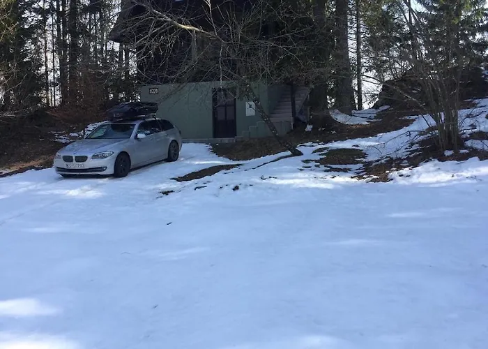 Romantic Forest House *