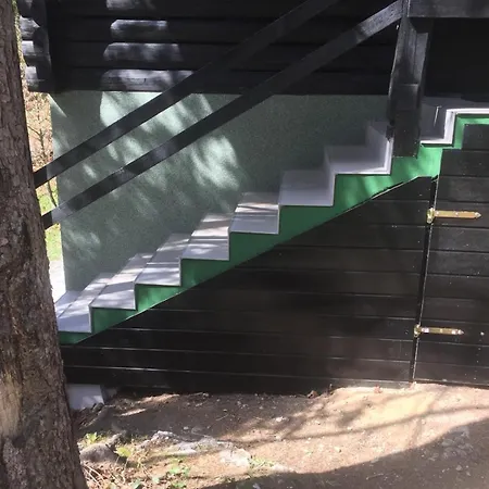 Romantic Forest House *