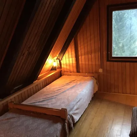 Romantic Forest House