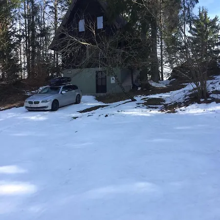 Romantic Forest House *