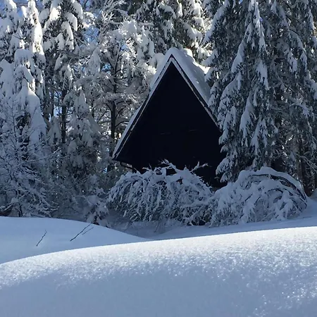 Romantic Forest House *