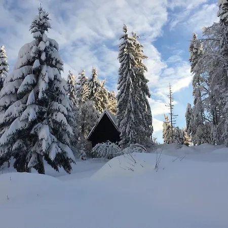 シャレー Romantic Forest House *