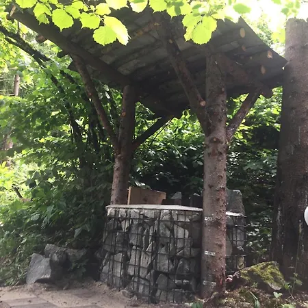 Σαλέ Romantic Forest House