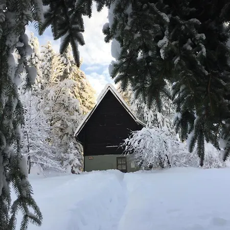 Romantic Forest House * Trsce