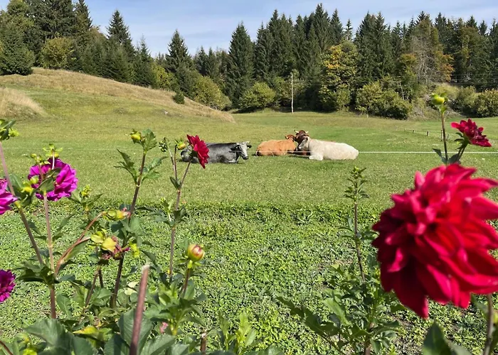 Romantic Forest House * Trsce