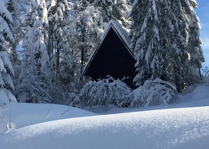 Romantic Forest House *