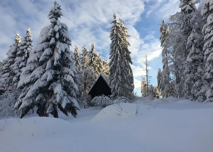 شاليه Romantic Forest House *