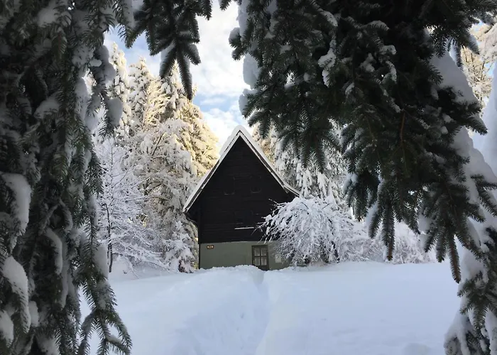 Romantic Forest House * Trsce